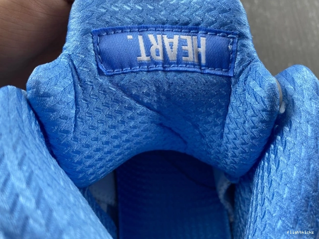 UNC 5 Air Jordan DV1310-401 0902